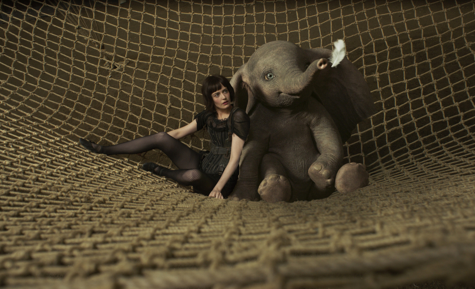 elephant | Disney animation, Elefanten, Elefanten bilder